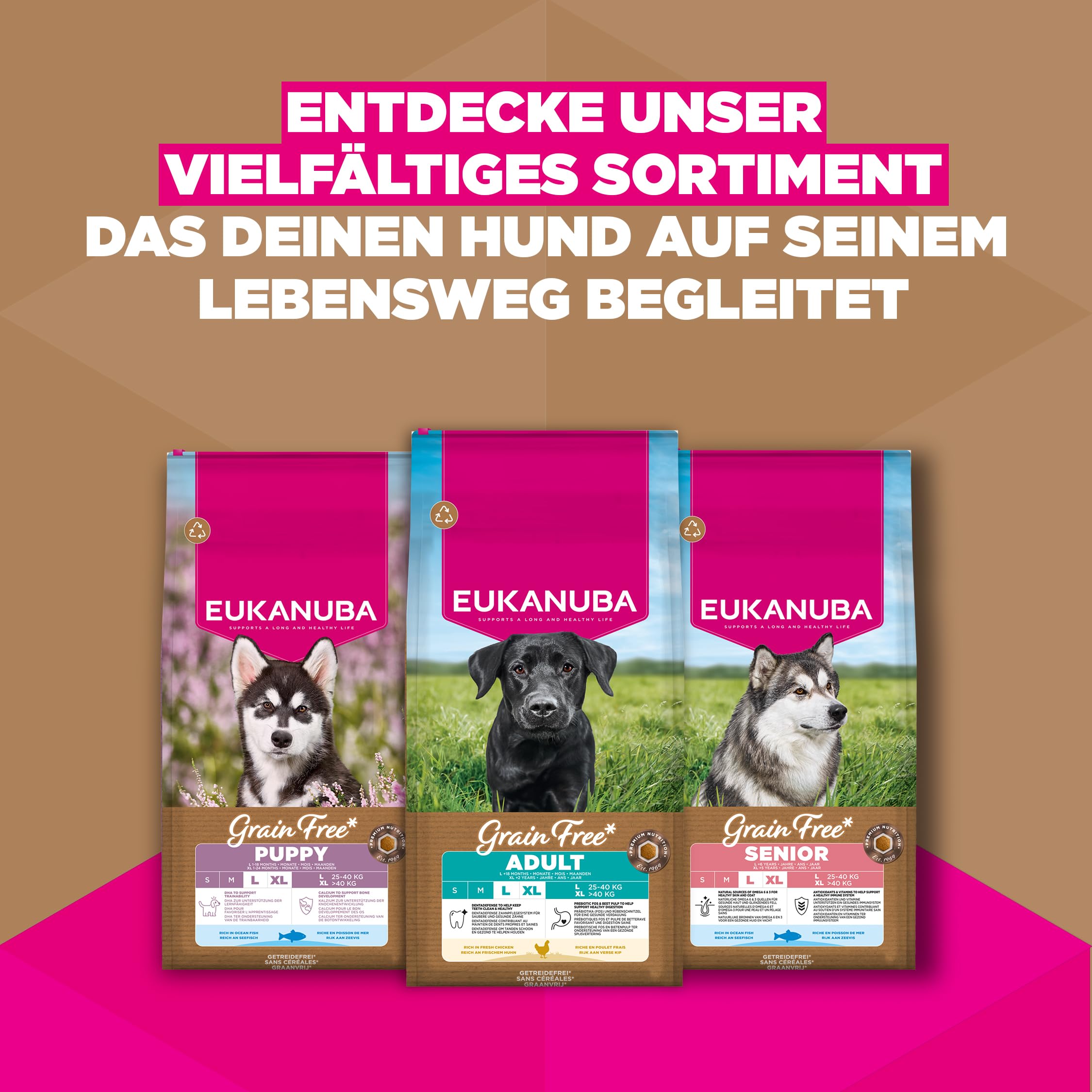 Eukanuba Hundefutter getreidefrei mit frischem Huhn für große Rassen, 12 kg | Premium Trockenfutter mit frischem Huhn | ohne Getreide | für ausgewachsene Hunde