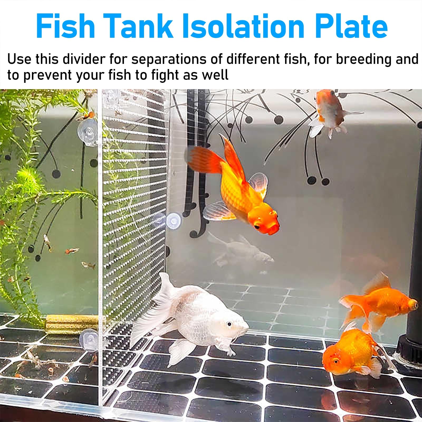 divisori per acquario Divisore per acquario in acrilico trasparente, piastra per griglia isolante per acquario di grandi dimensioni con ventosa, divisorio per allevamento di pesci(50x60cm/19.7x23.6in)