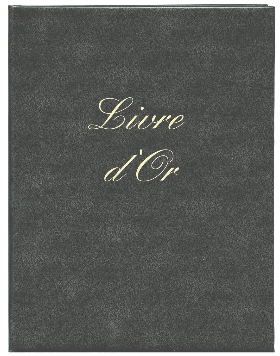 Elve 5300 - Libro de visitas (21 x 29,7 cm, 148 páginas, piel sintética), color negro