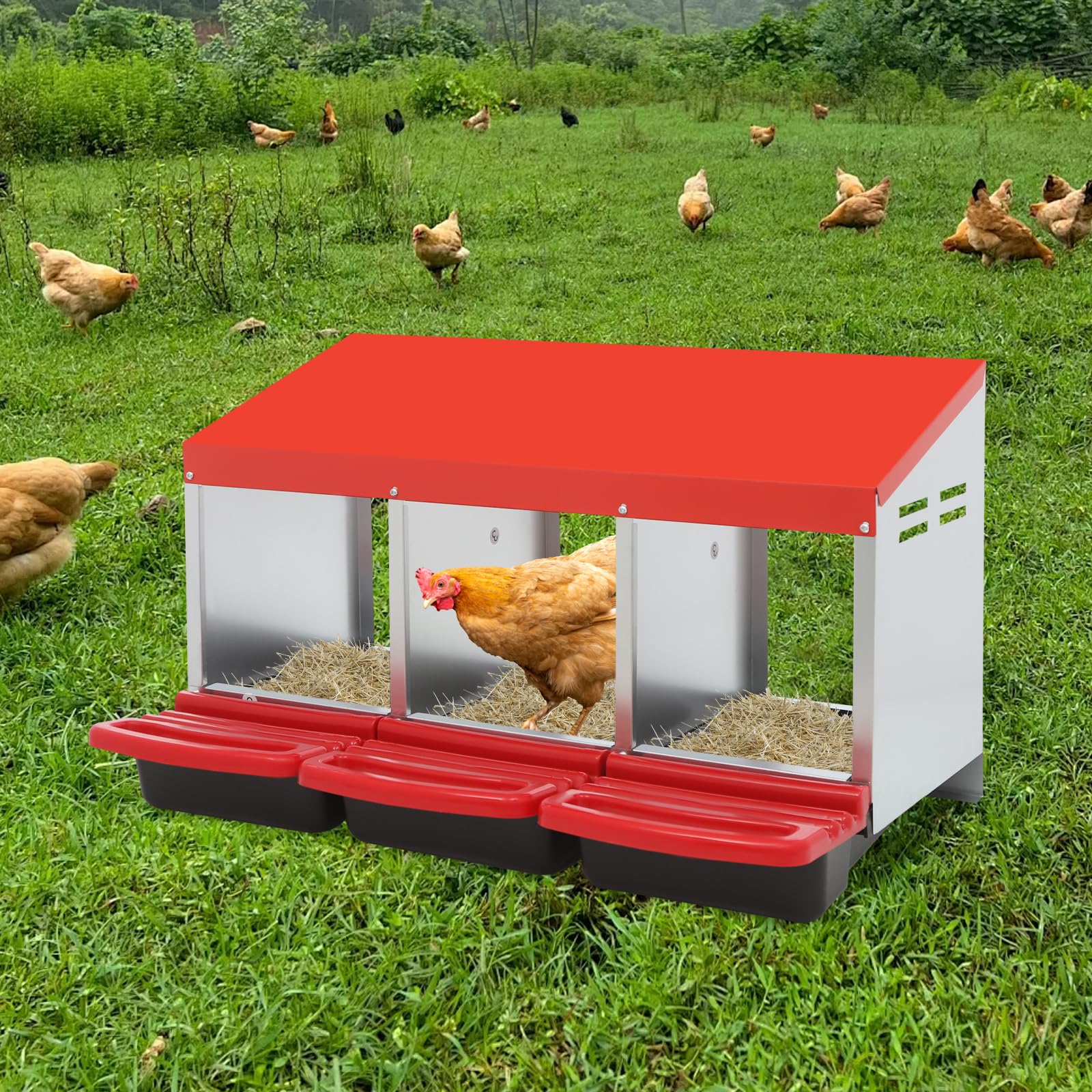 Nido para pollos, 3 compartimentos, acero galvanizado, 81 x 52 x 48 cm | Con recolección automática de huevos nidos para aves de corral para montaje en pared o en el suelo en el gallinero