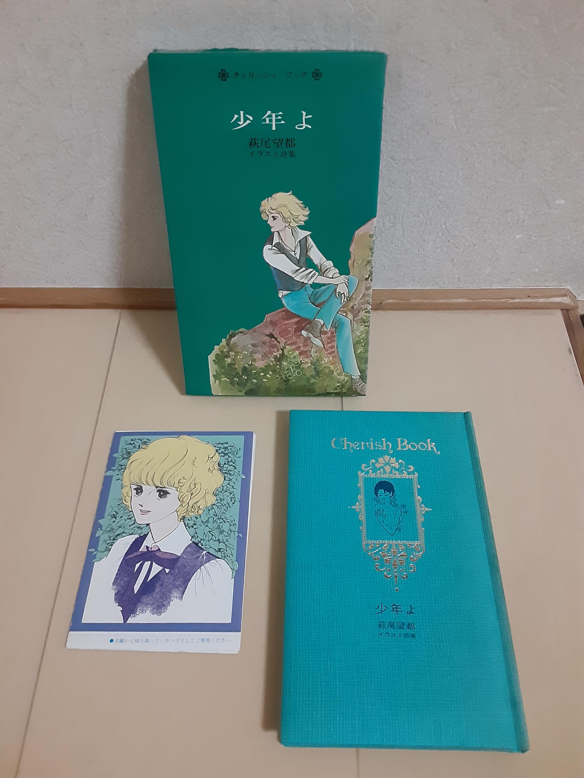 Amazon | 初版 カード付属 箱あり 萩尾望都 イラスト詩集 少年よ
