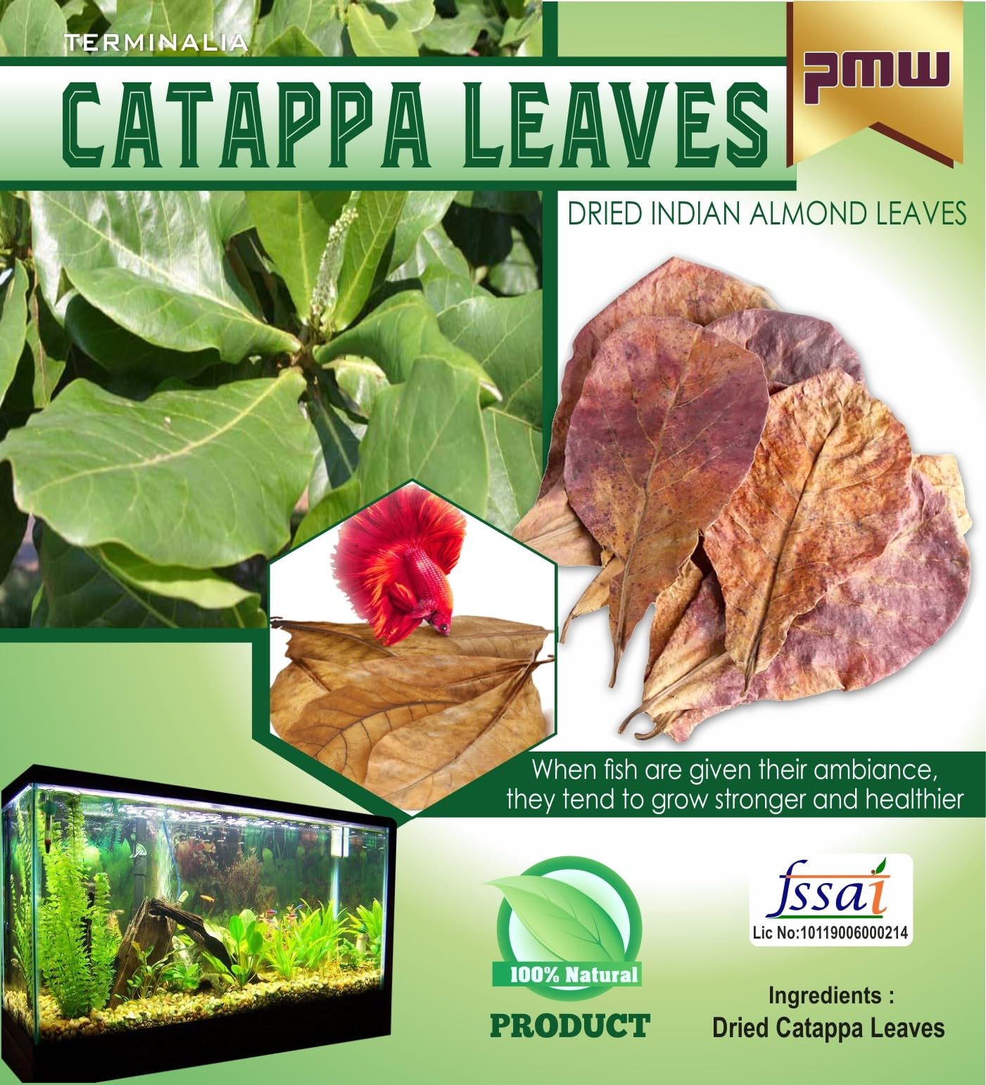 Pmw - Indian Almond leaves - Ph Reducer - Big Size - Catappa Leaves - Boosts Health & Breeding - Pack Of 30-image-8