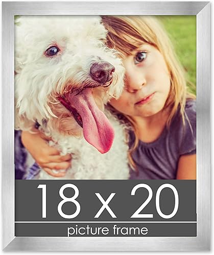 Miniatura 283 de Marco de 28 x 36 pulgadas de madera de peltre plateado con plexiglás acrílico UV, parte trasera de tablero de espuma y accesorios incluidos