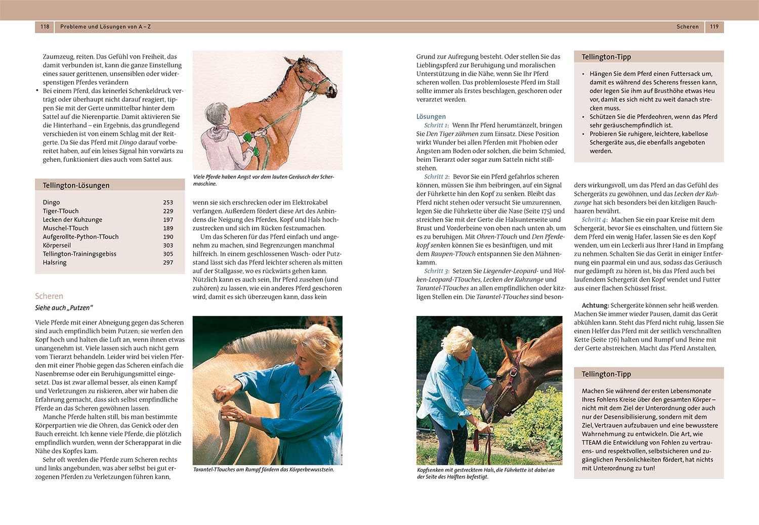 Tellington Training für Pferde: Das große Lehr- und Praxisbuch
