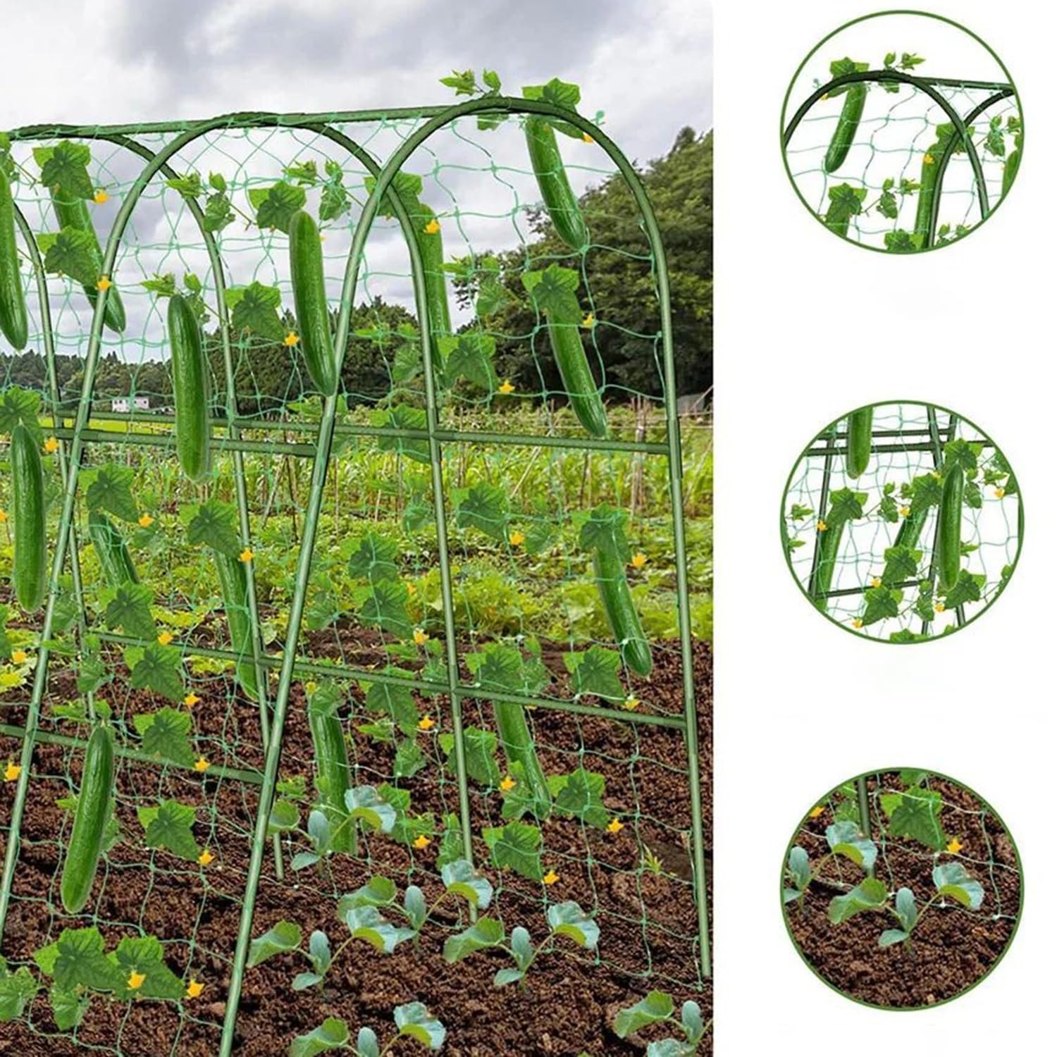 Enrejado De Tomates,Espaldera De Metal y Plástico En Forma De u,Tutor De Metal De 160cm De Alto con Pinzas De Jardín y Correa Retorcida para Plantas Trepadoras,para Verduras,Flores,Frutas
