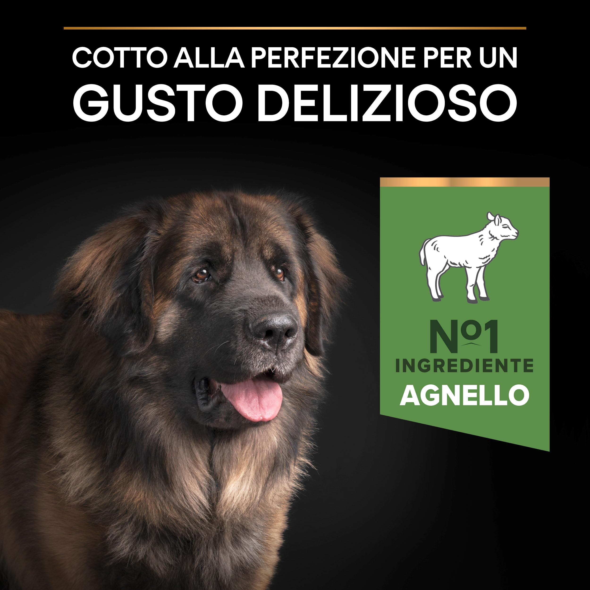 Purina Pro Plan Optidigest Large Robust Adult Crocchette Cani 14 kg