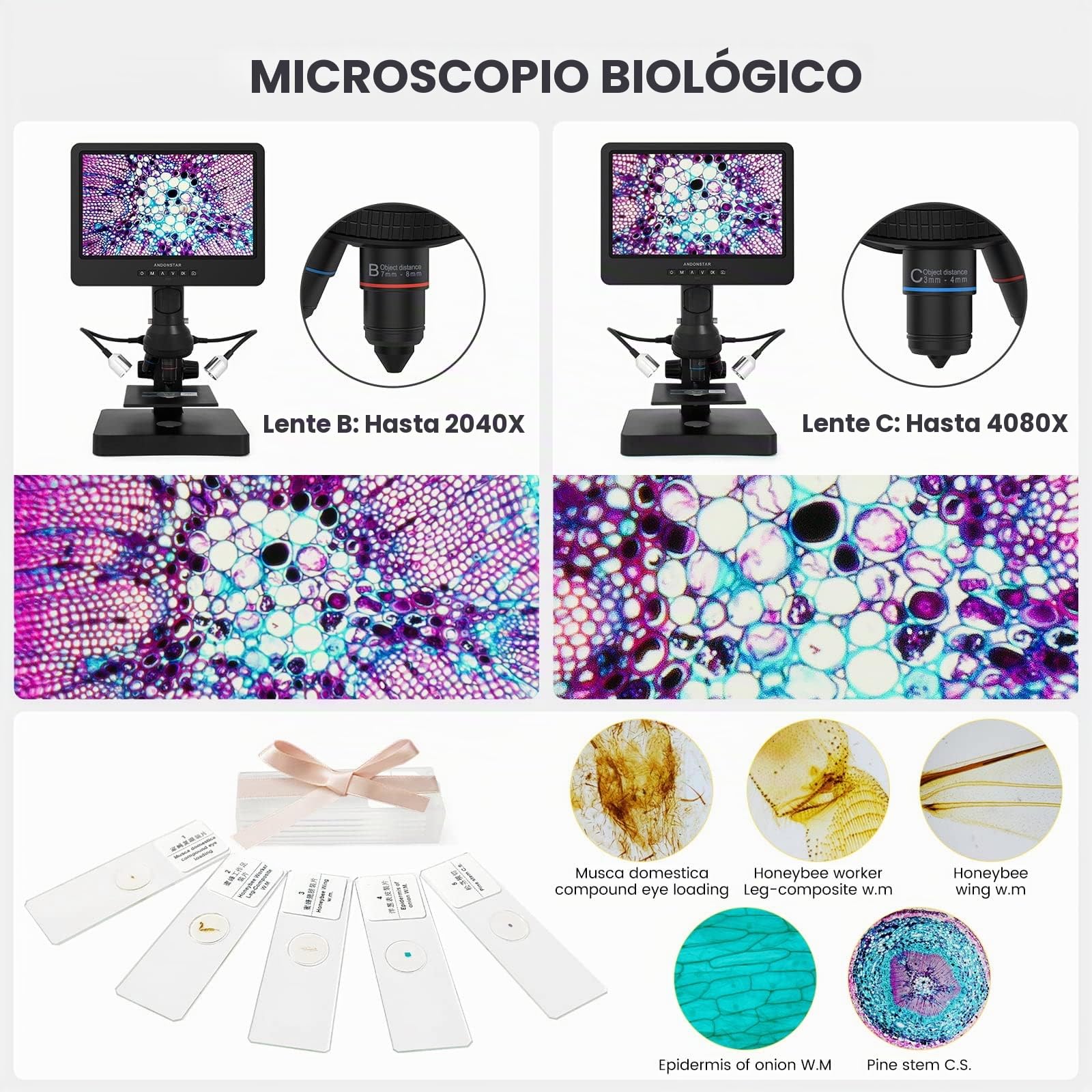 Andonstar AD249S Microscopio Digital HDMI con Pantalla de 10 Pulgadas, microscopio biológico de Tres Lentes 4000X, Kit de microscopio de Monedas para niños y Adultos, grabación de Foto/Video