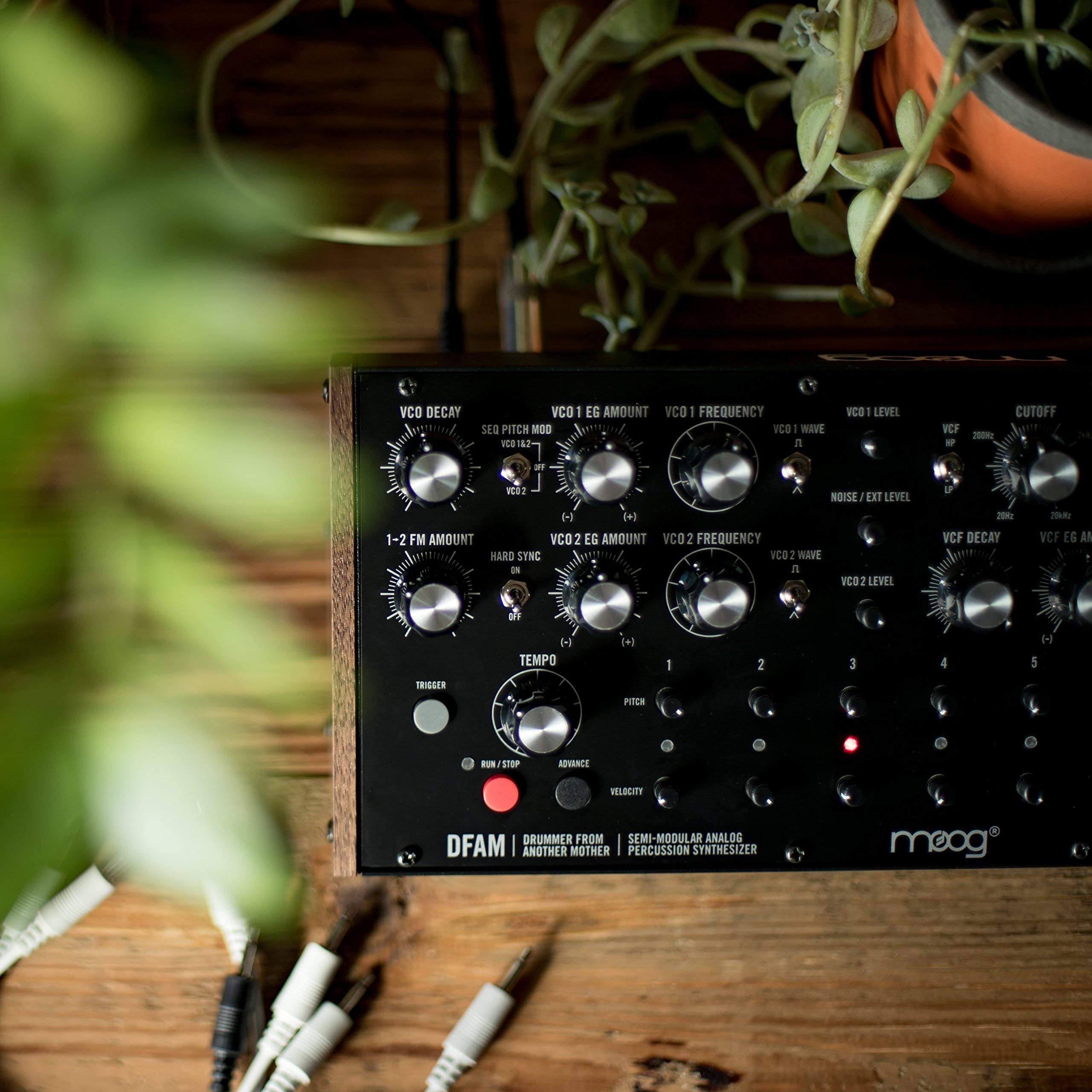 Amazon.com: DFAM - Drummer from Another Mother - Semi-Modular