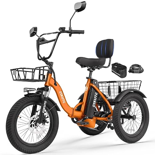 ESKUTE E Trike Electric Bike Peak 1200W