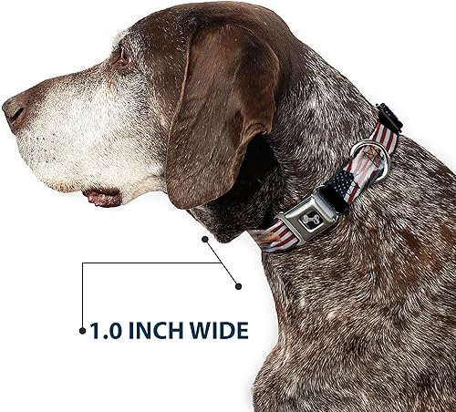 Miniatura 6 de Buckle-Down Collar de perro con hebilla de cinturón de seguridad, banderas de águila americana, 1 pulgada de ancho, se adapta a cuello de 15 a 26