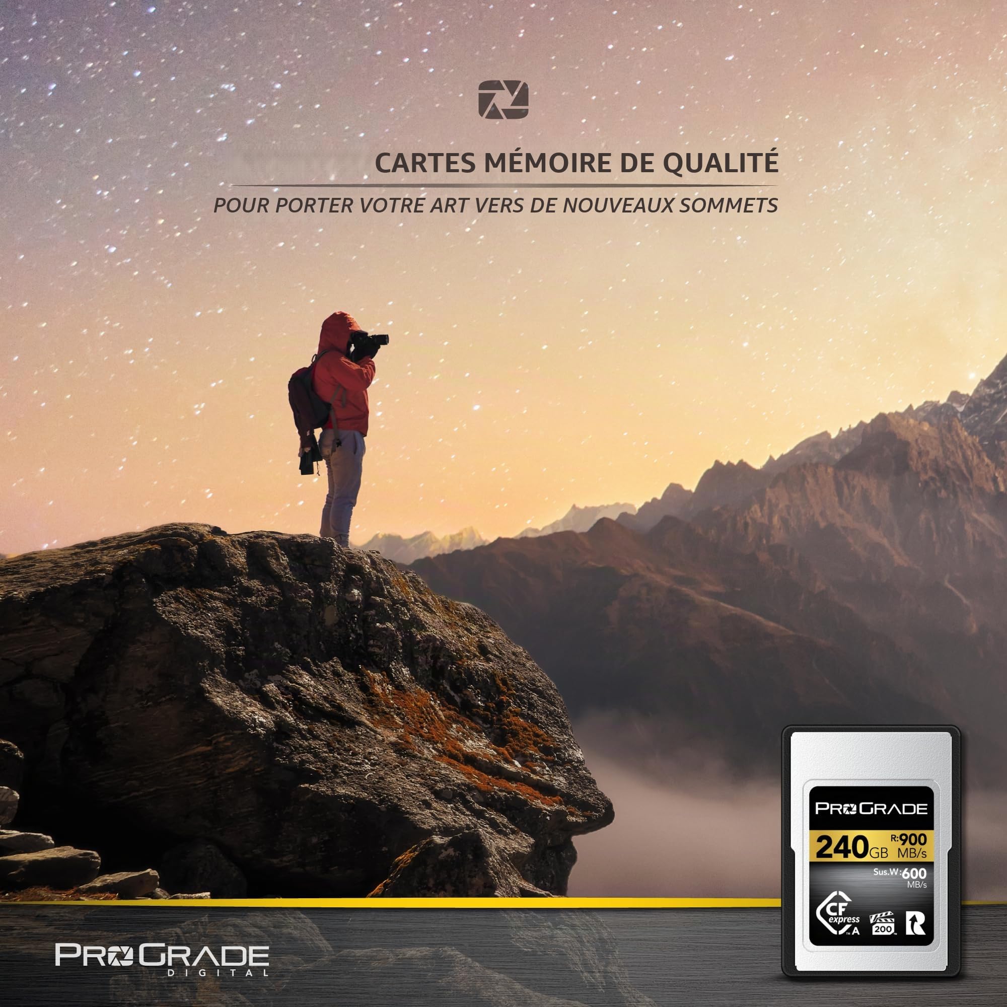 ProGrade Digital CFexpress™ 2.0 Carte mémoire Type A (240 Go) Doré