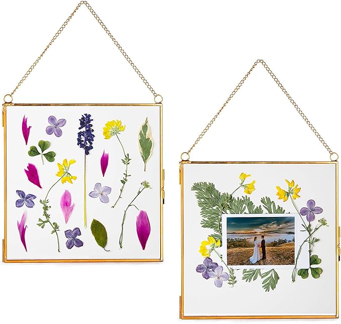 Glass Frame for Pressed Flowers, Leaf and Artwork