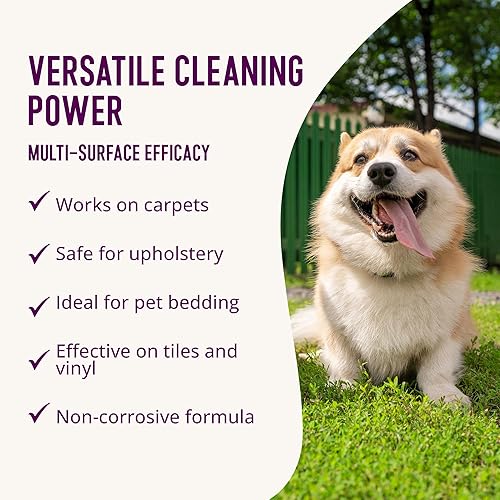 Miniatura 5 de Health Extension Elimina el removedor enzimático de manchas y olores, seguro en todas las superficies, 32 onzas