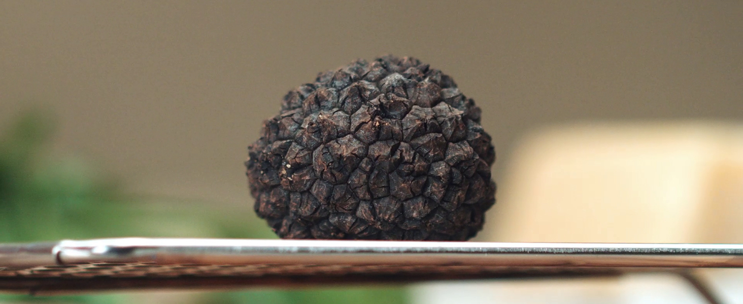 TruffleHunter - Black Truffle Slices and Minced Black Truffle - 2 x 1.74 Oz