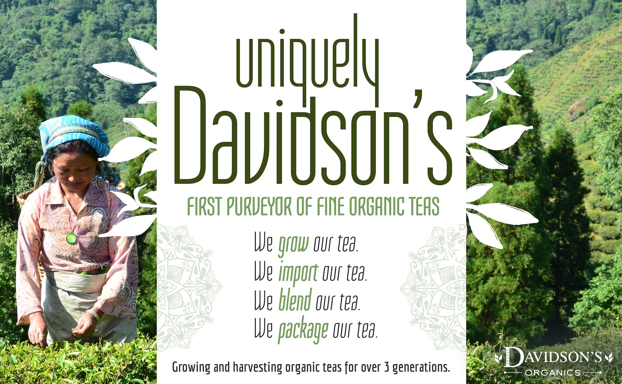 Davidson's Organics, Ginger Peach Iced Tea, QT Size Brew Bag, Case of 48