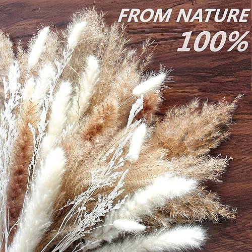 Miniatura 6 de 113 piezas de decoración de hierba seca de las pampas, ramos de flores secas para bodas, hogar, mesa de centro de mesa, hogar moderno, sala de estar