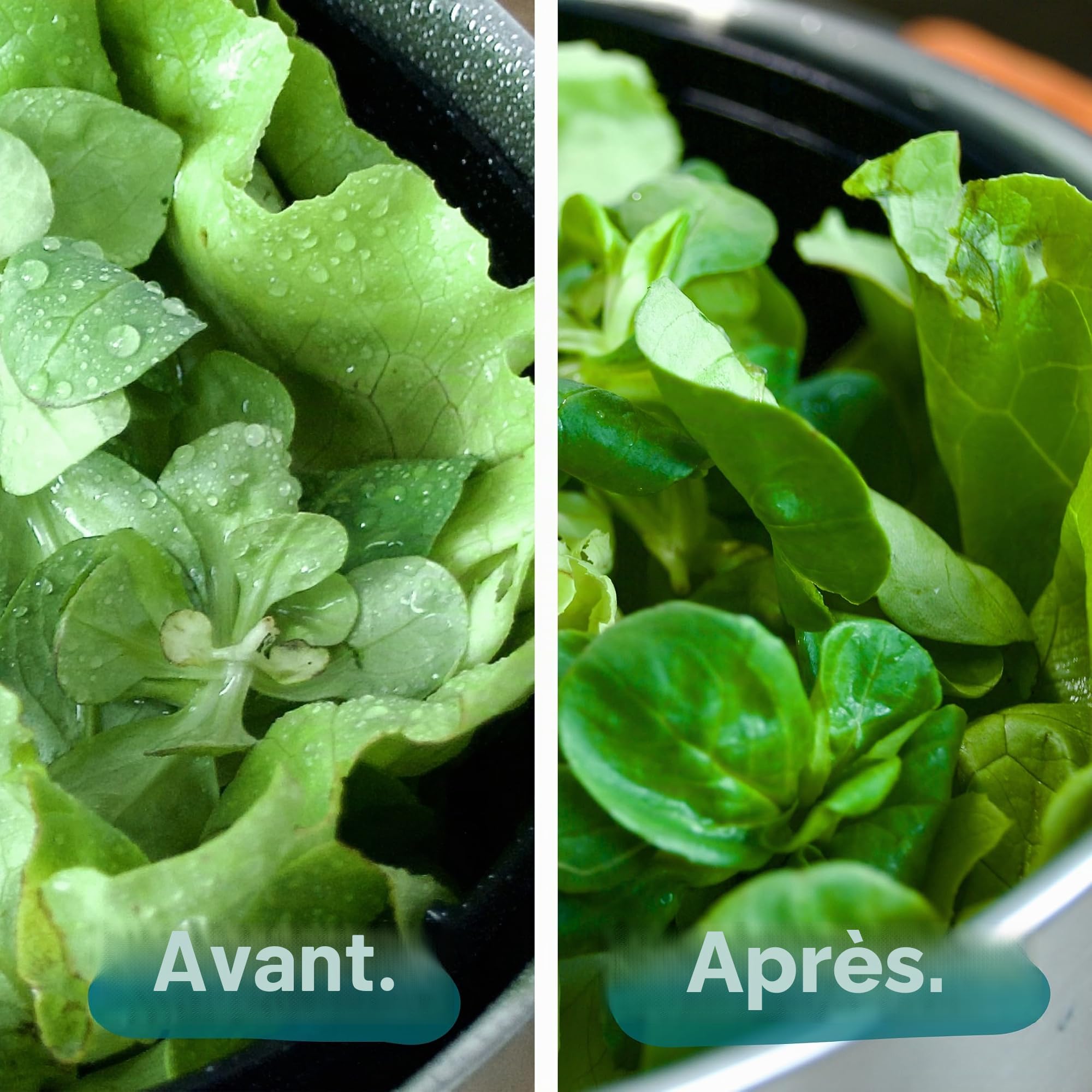 Cookery - Essoreuse à salade en acier inoxydable (4,5 l) + mandoline à légumes avec 5 lames / essoreuse à salade facile grâce au fond antidérapant et à l'entraînement cube