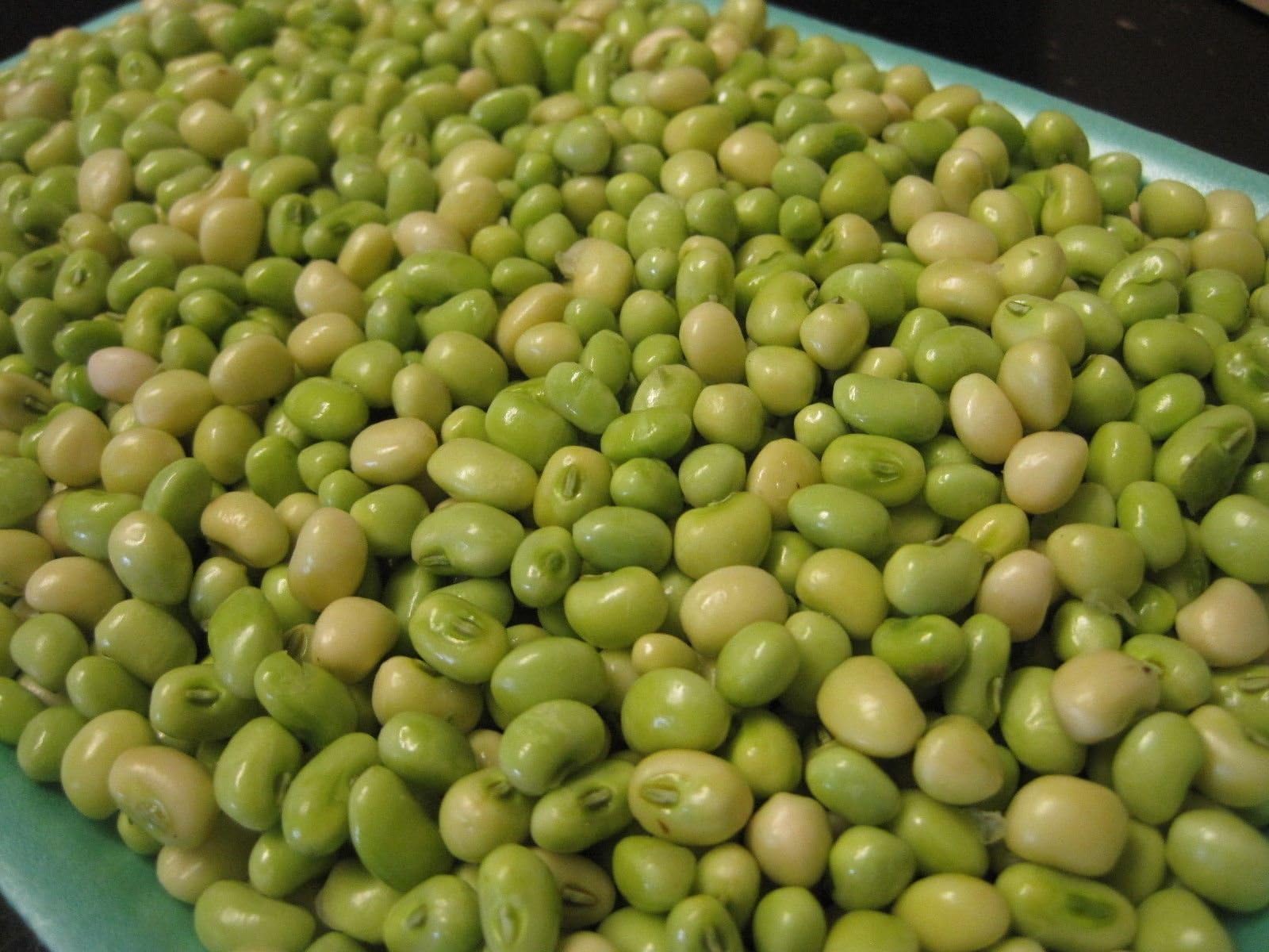 Lady Cream pea AKA: Lady Finger Pea, Rice Pea, Catjang Pea Southern Peas(1/4 lb Seeds)
