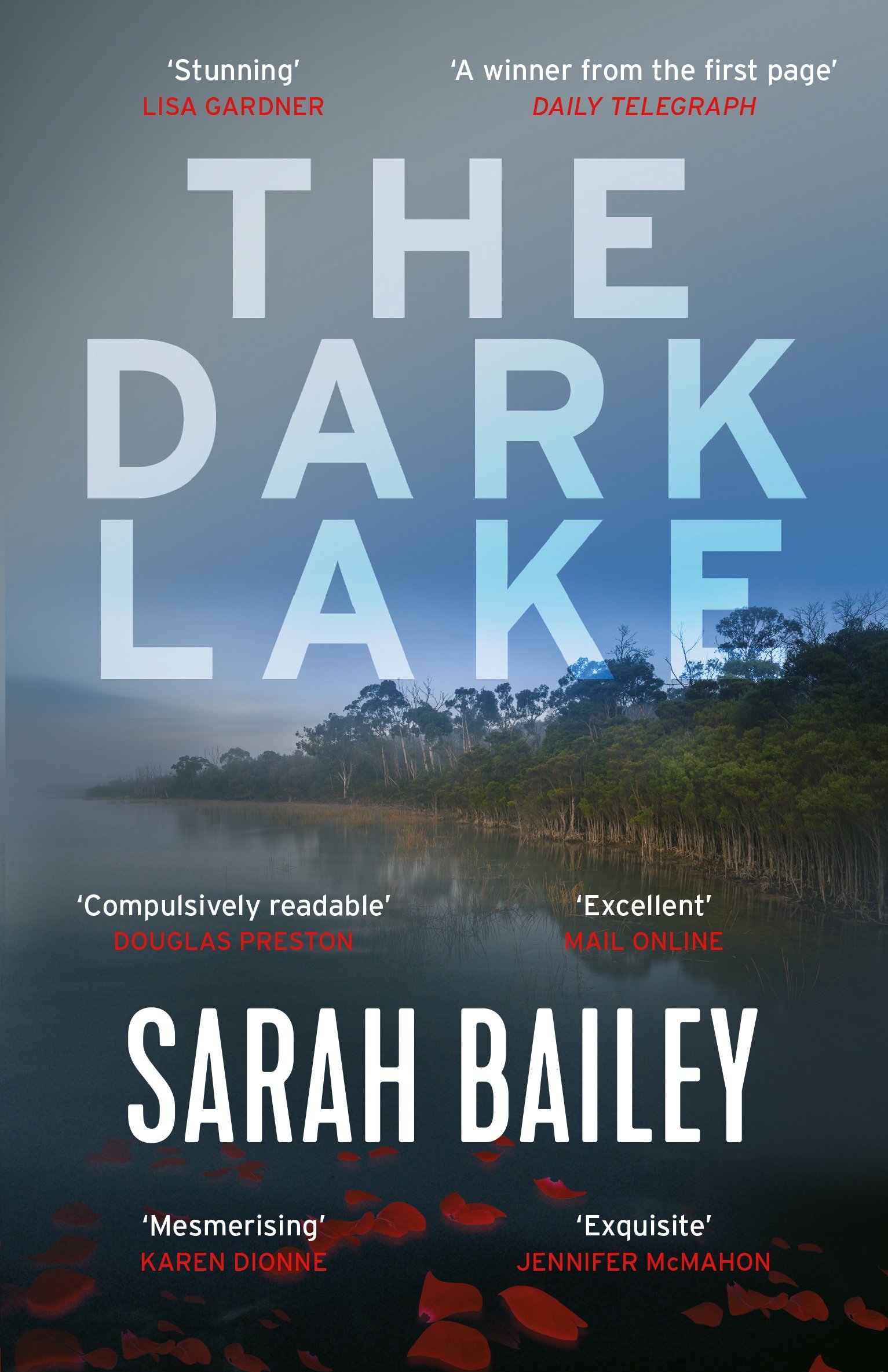 The Dark Lake: A stunning thriller perfect for fans of Jane H .9