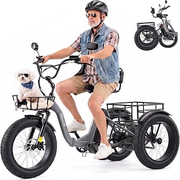 ANCHEER Electric Tricycle for Adults 2 Basket, Peak 1500 Electric Trike