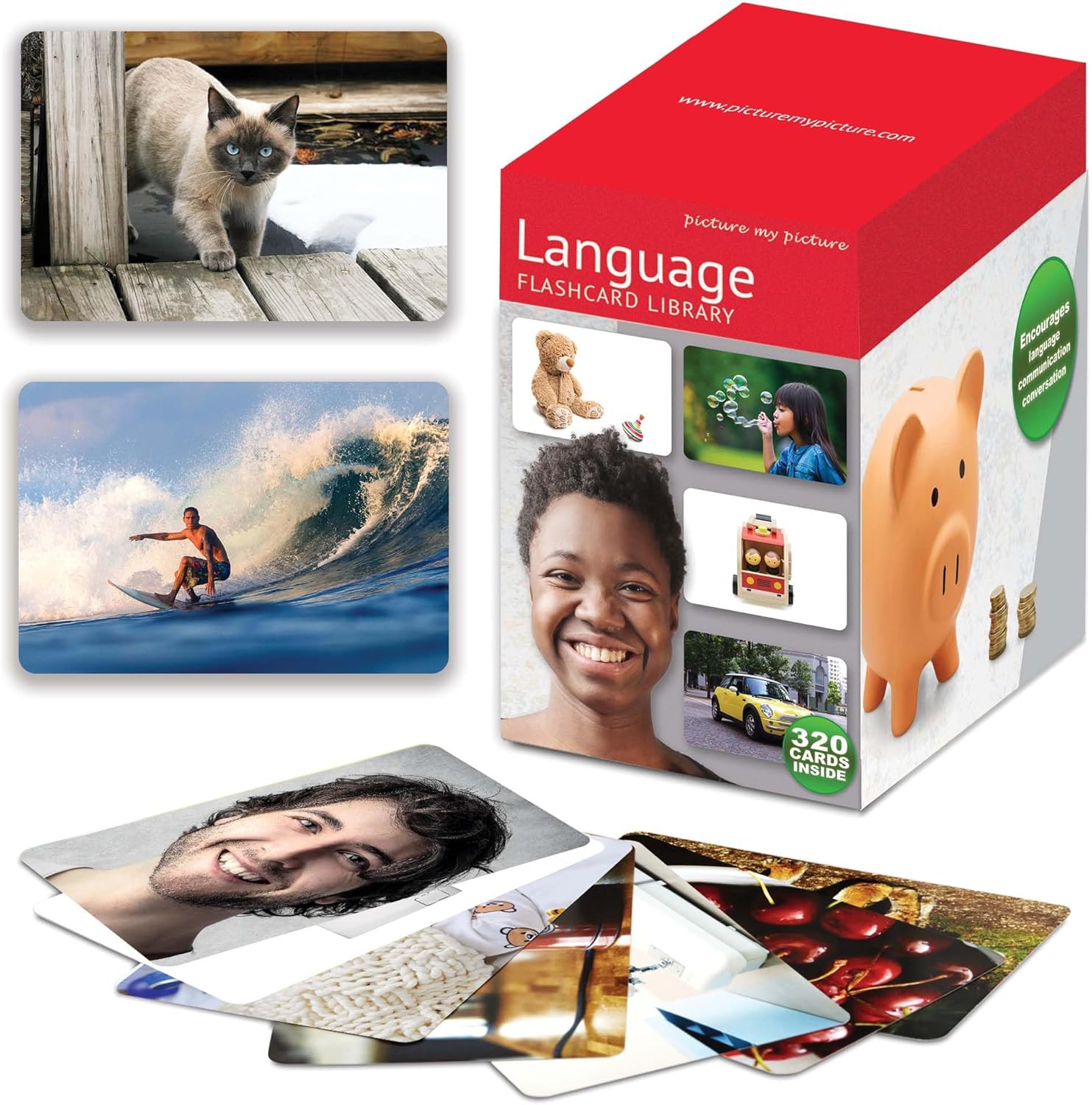 Picture My Picture Language Flash Card Library – Speech Therapy Tool for Vocabulary, Communication & Thinking, Scratch-Resistant with Activity Guide, Suitable for Education, ESL & ABA – Set of 320