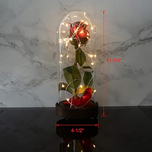 Miniatura 7 de CVHOMEDECO. Funciona con pilas con temporizador LED iluminado y rosa de poliuretano roja con pétalos caídos en una cúpula de cristal, gran regalo