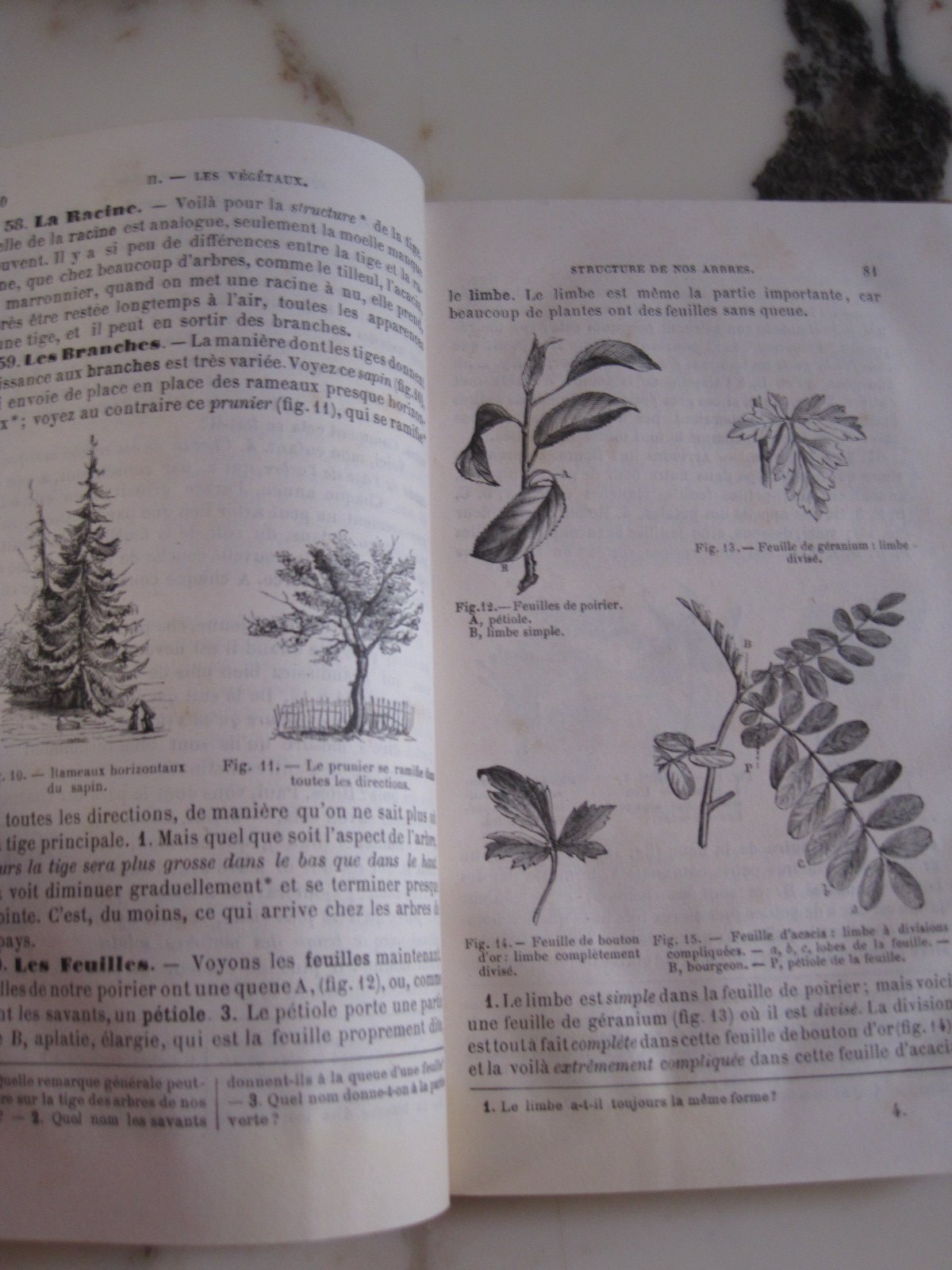 La Première Année d'enseignement scientifique, sciences naturelles et physiques animaux, végétaux, pierres et terrains, physique, chimie, physiologie végétale. Ouvrage répondant aux nouvelles matières obligatoires de l'enseignement primaire et aux program