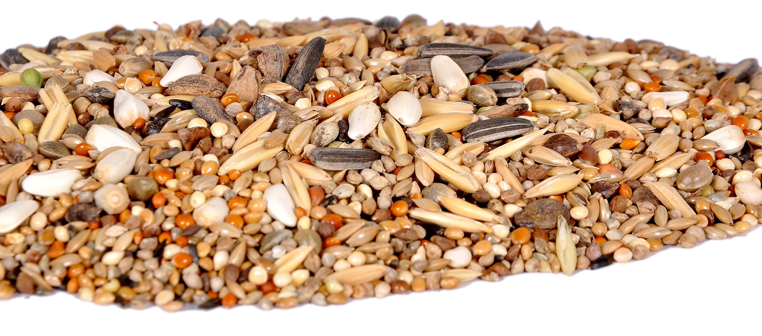 AVI Crave 21 Types of Seed Mix for Budgies,Love Birds, Cocktails Parrots and Conures(1000 grm) (B07KPGX7F4) Amazon Price History, Amazon Price Tracker