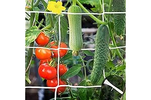 YHmall Heavy Duty Rope Trellis Netting for Climbing Plants