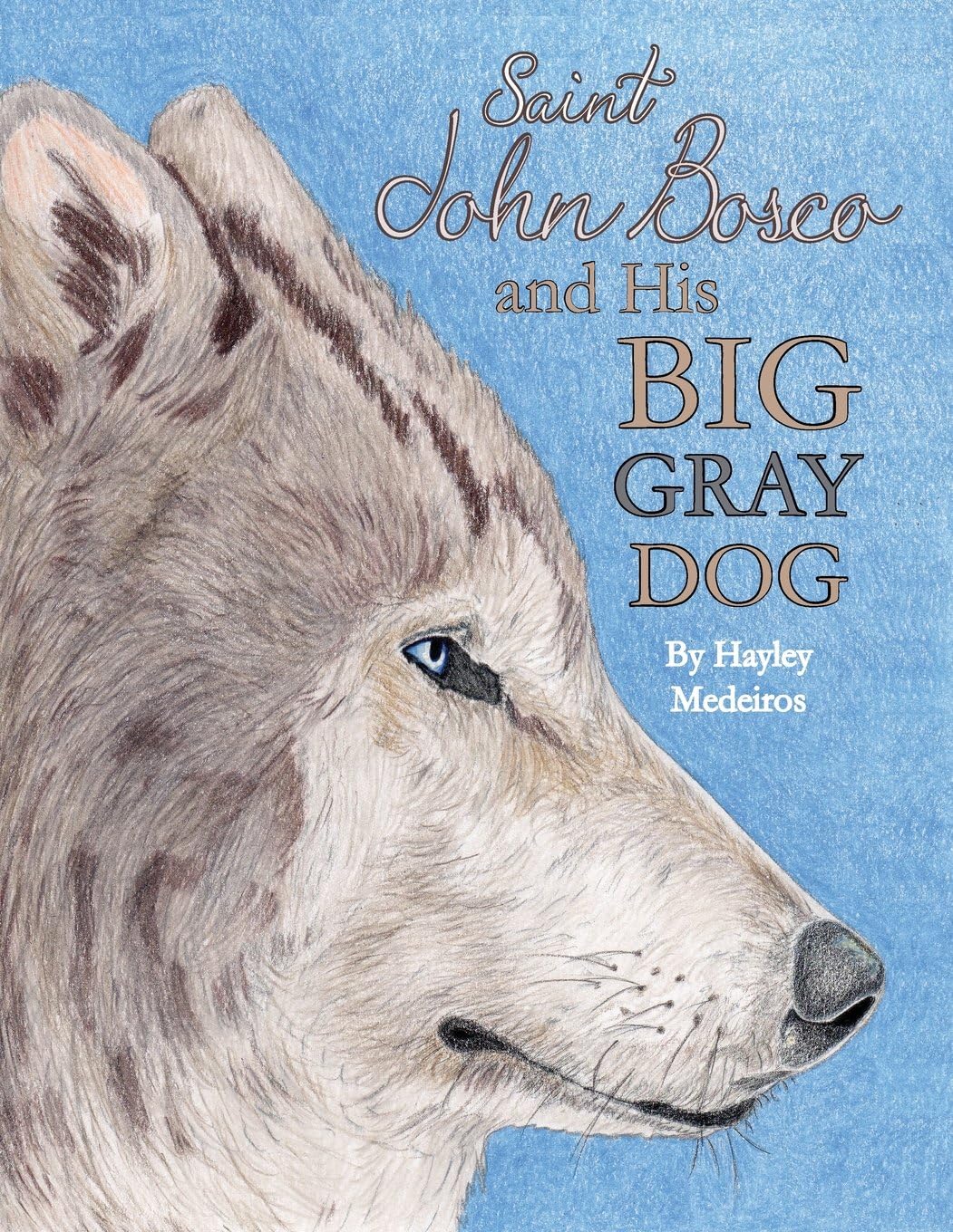 St. John Bosco and His Big Gray Dog