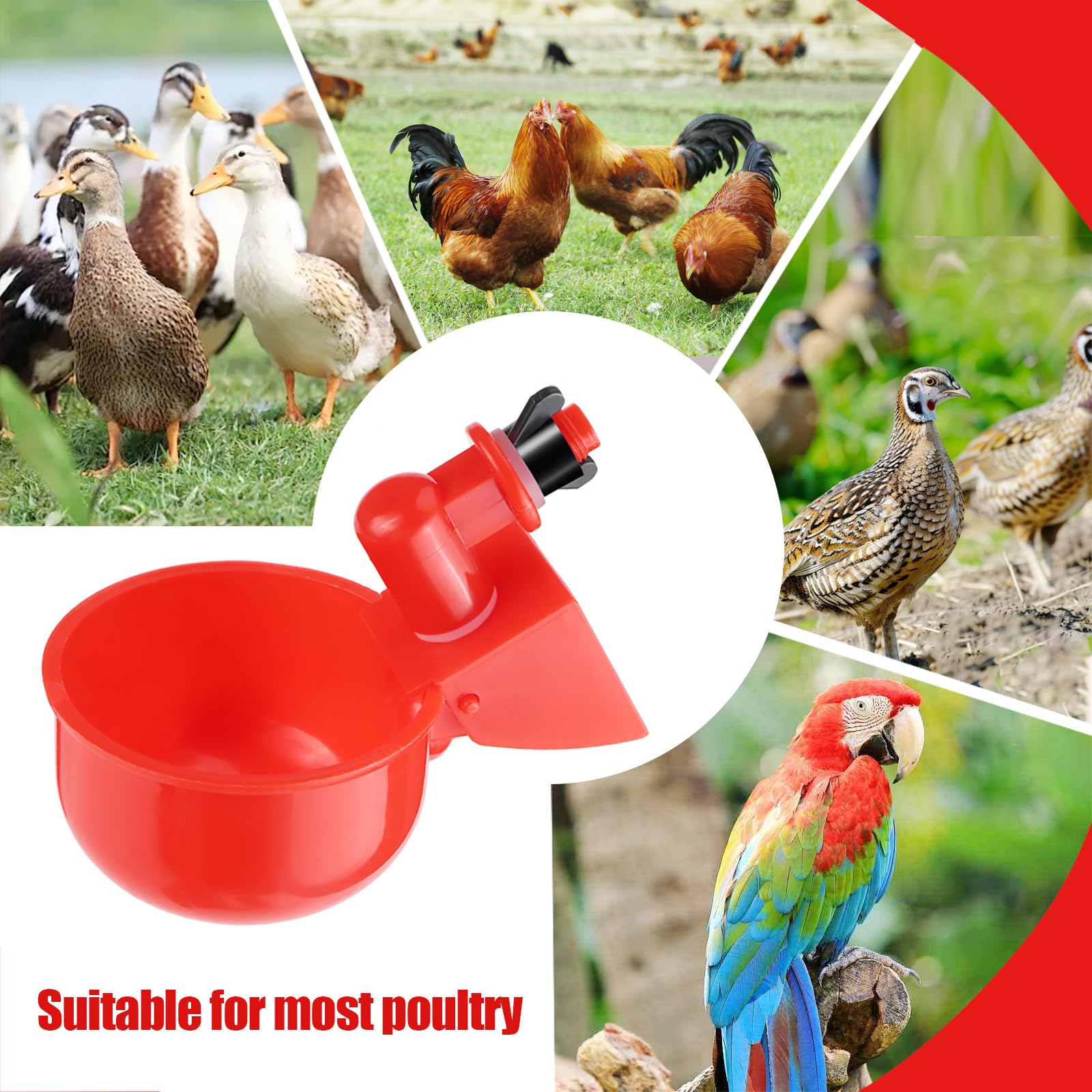 Bebedero Gallinas Automático Bebedero Plástico para Pollo Comedero automático de Pollo Agua para Pollos Automática Kit con Broca para Patos Gansos