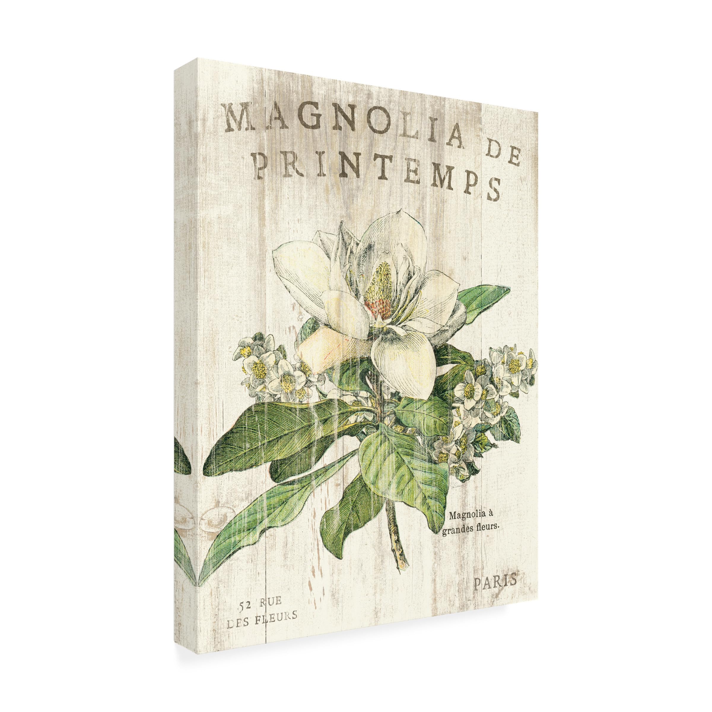 Wrapped Canvas Wall Art - Sue Schlabach Magnolia De Printemps Wall Art for Living Room Bedroom or Office