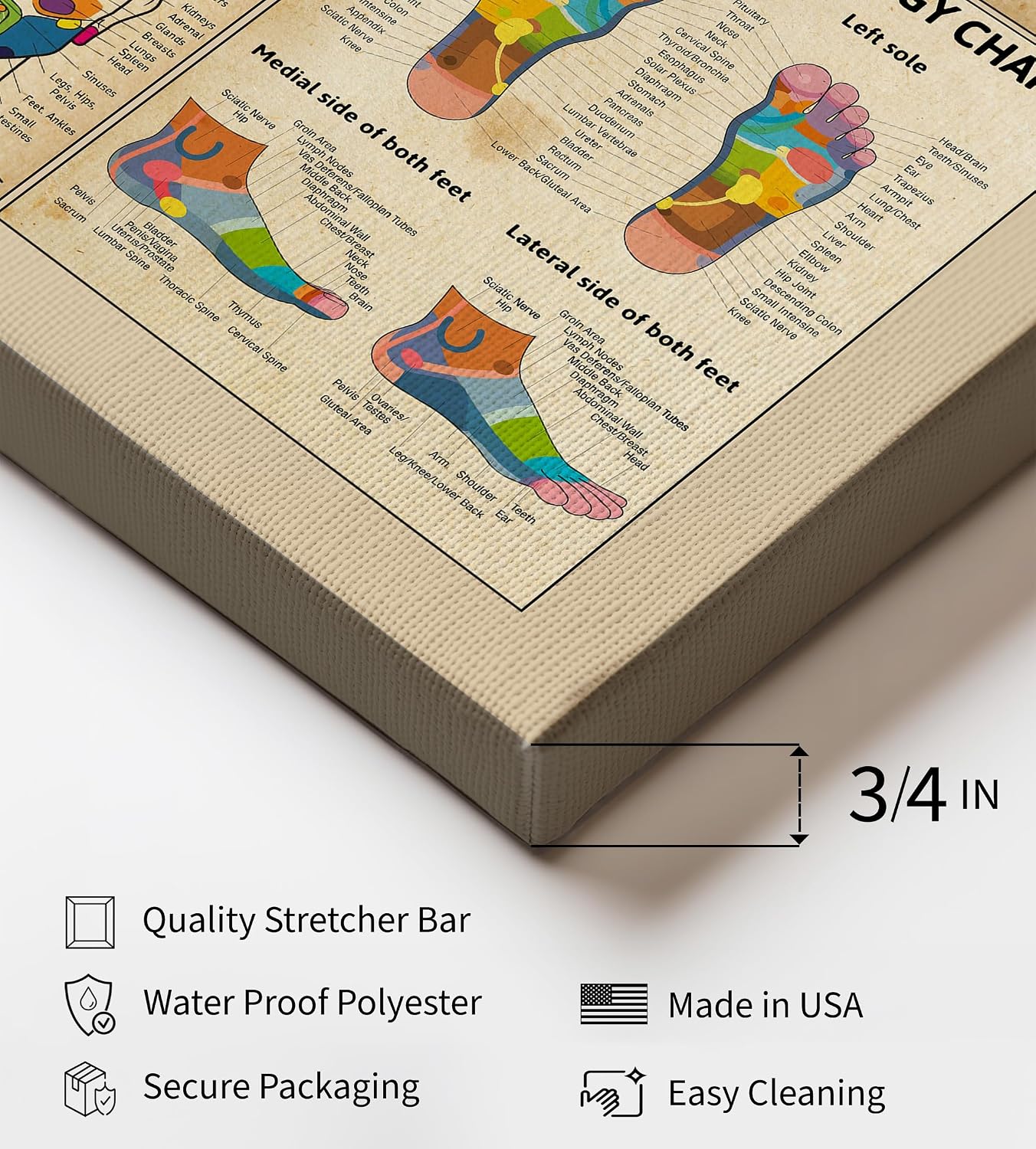 Poster Master Massage Therapy Knowledge Canvas - Reflexology Chart Print - Infographic Art - Typography Wall Design - Educational Living Room or Office Wall Decor - 8x10 STRETCHED Canvas