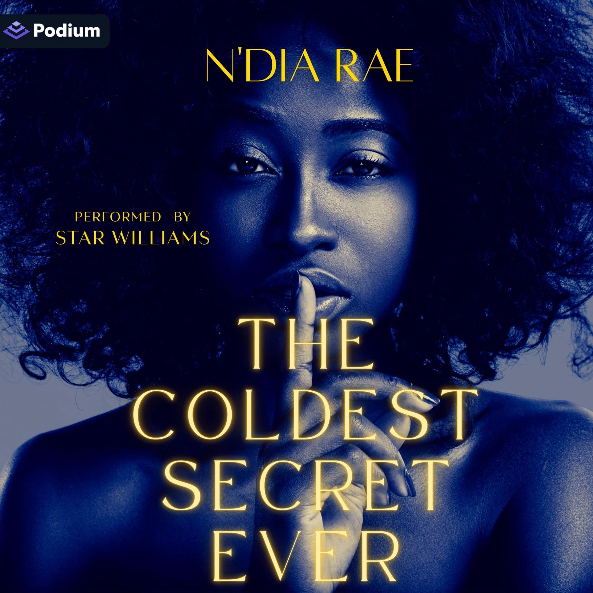 Cover art for The Coldest Secret Ever