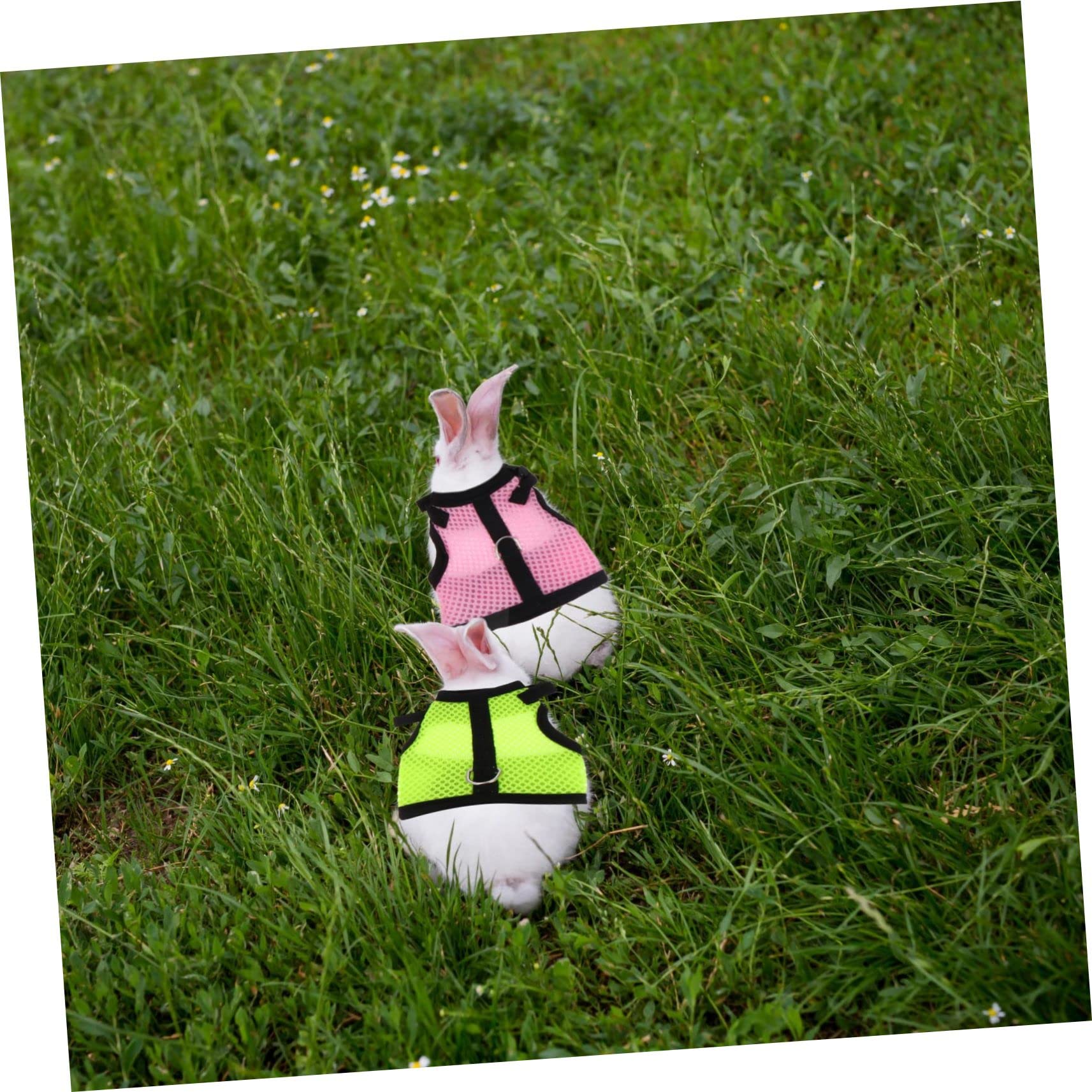 BESPORTBLE 12stücke Hamster Und Kaninchen-Weste Mit Leine Atmungsaktive Outdoor-geschirre Für Kleine Haustiere Für Und Fotos Leicht Und Komfortabel