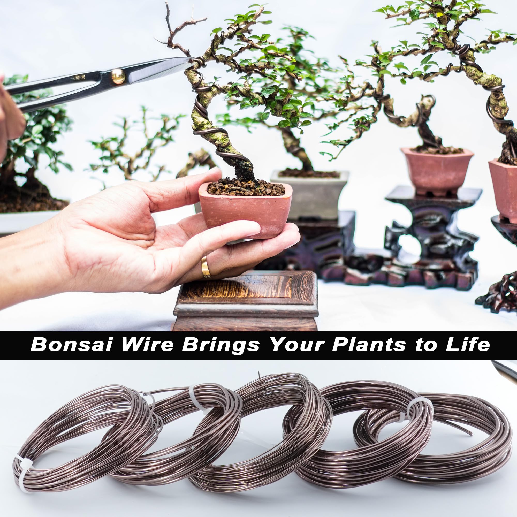 Filo Per Bonsai In Alluminio Anodizzato - Set 5 Spessori (1,0-3,0 Mm) Per Modellare Le Piante - Foto 2