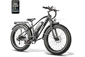 Lander Electric Bike for Adults: Conquer Trails with Bold Style