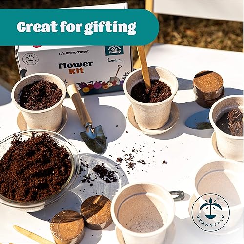 Miniatura 6 de Beanstalk - Kit de cultivo de flores – 5 tipos de semillas de flores sin OMG, botón de licenciatura, zinnia, caléndula, Virginia Stock, aliento de