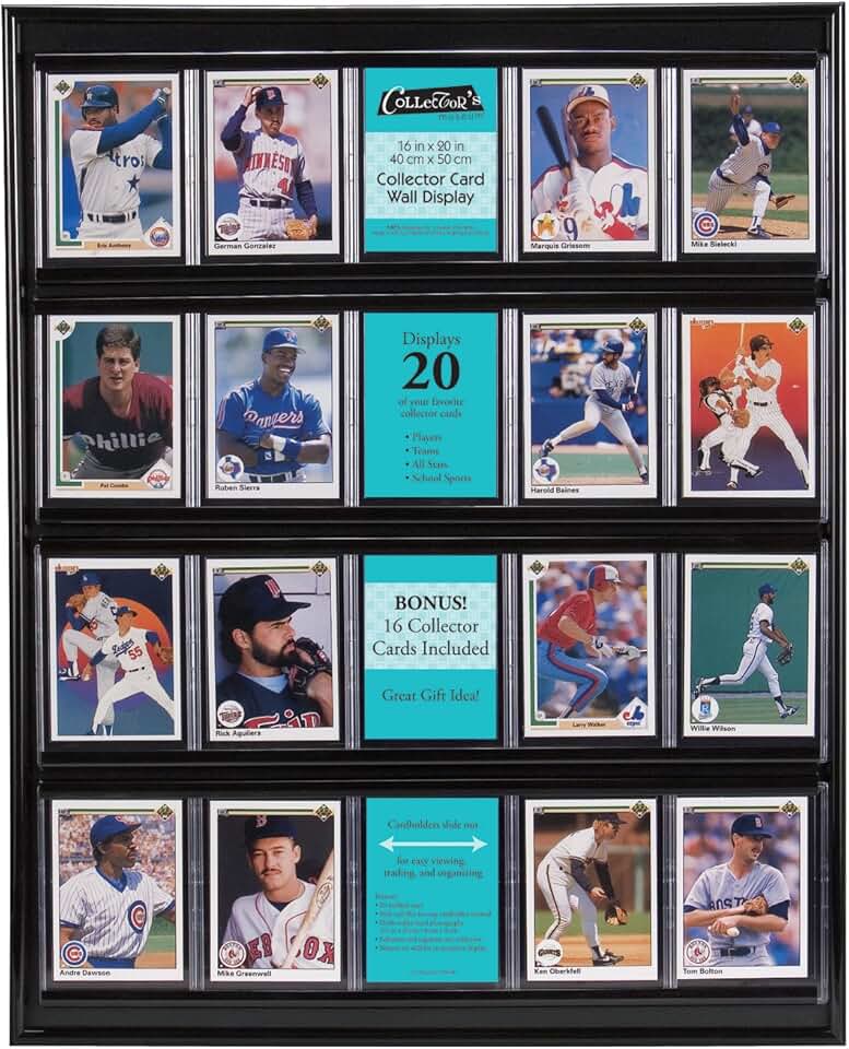 sports cards display case
