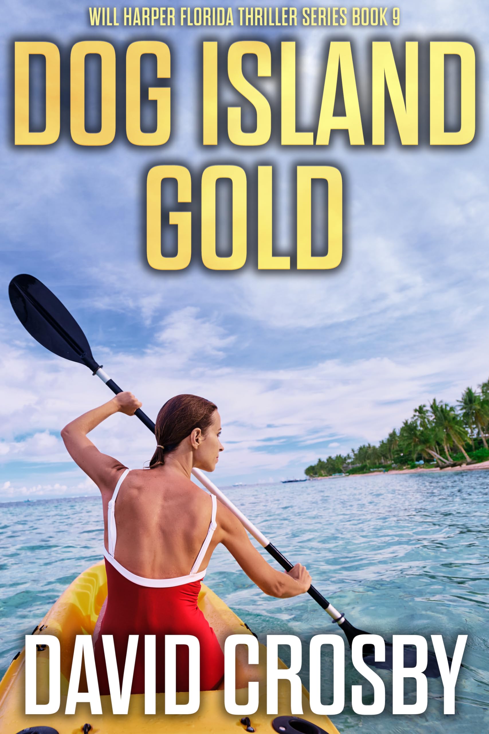 Dog Island Gold (Will Harper Florida Thrillers Book 9)