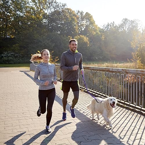 Miniatura 24 de BUMBIN Correa elástica para perro de 6 pies, correa elástica para perro con 2 asas, correas resistentes para perros medianos y pequeños, sin