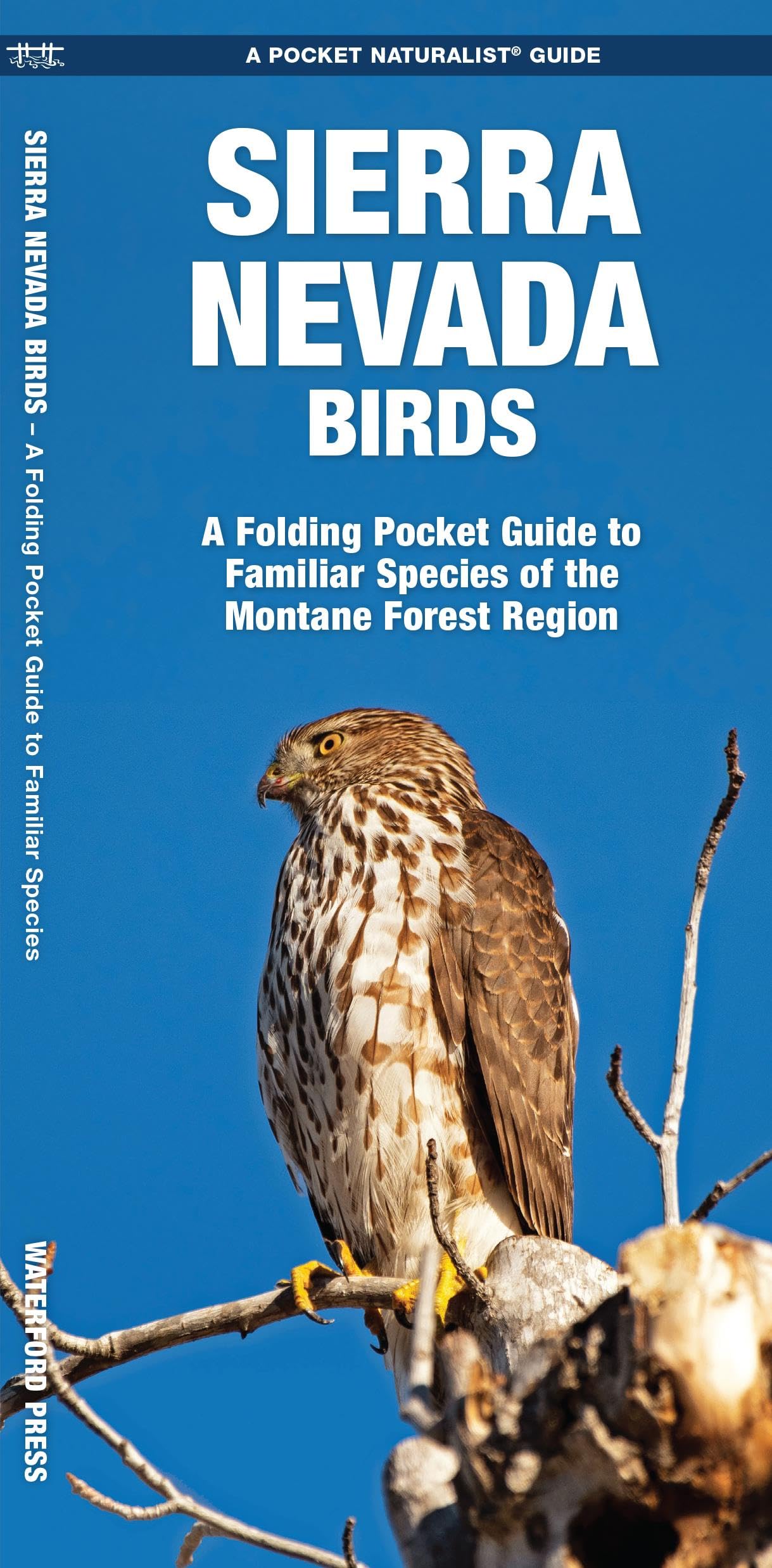 Sierra Nevada Birds: A Folding Pocket Guide to Familiar Species of the Montane Forest Region (Nature Observation North America)