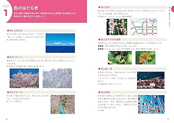 最新テキスト対応 はじめての色彩検定3級 A・F・T色彩検定公式テキスト3級編 (2020年夏期検定まで対応