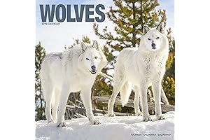 Wolf Calendar 2019: Captivating Images of Majestic Wolves
