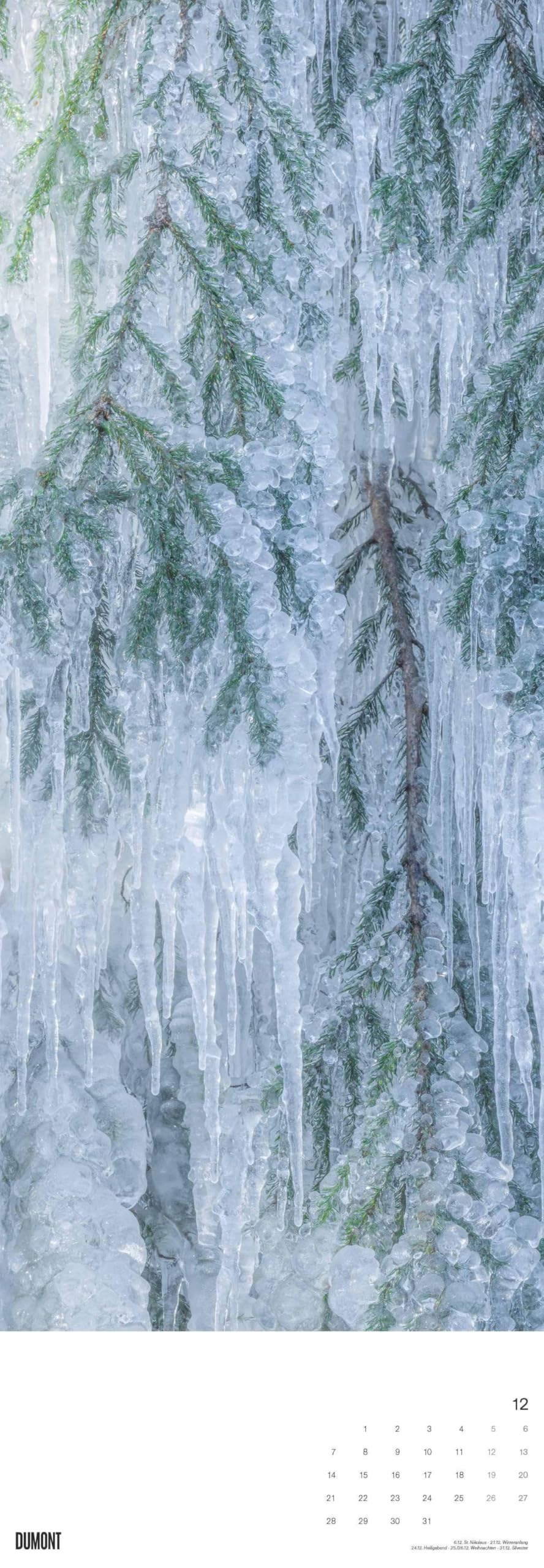 DUMONT - Alberi 2026 – Calendario da parete King-Size 34×98 cm con 12 fotografie di alberi di tutto il mondo, calendario della natura per gli amanti della natura e degli alberi: Trees