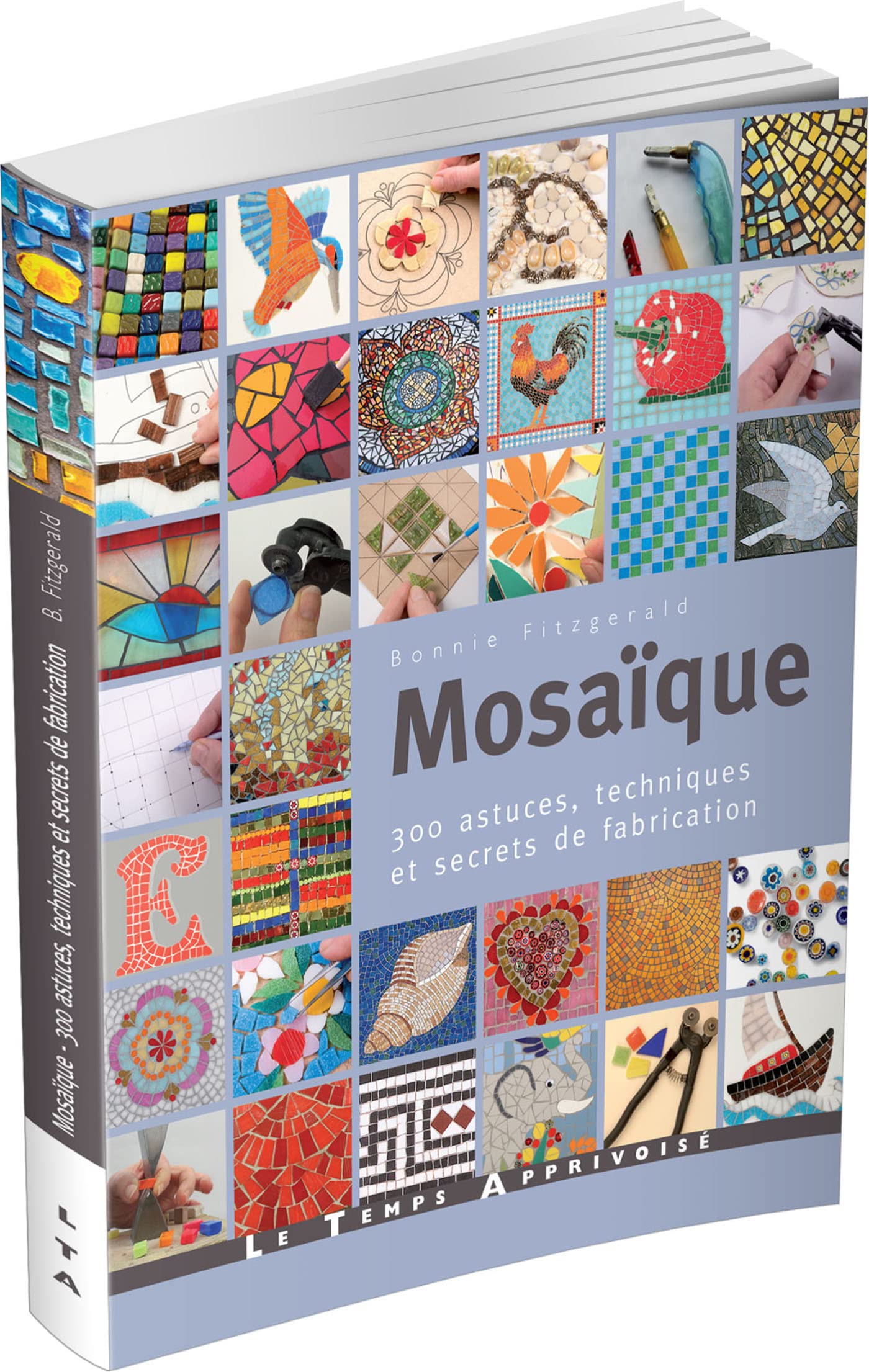 Mosaïque - 300 astuces, techniques et secrets de fabrication