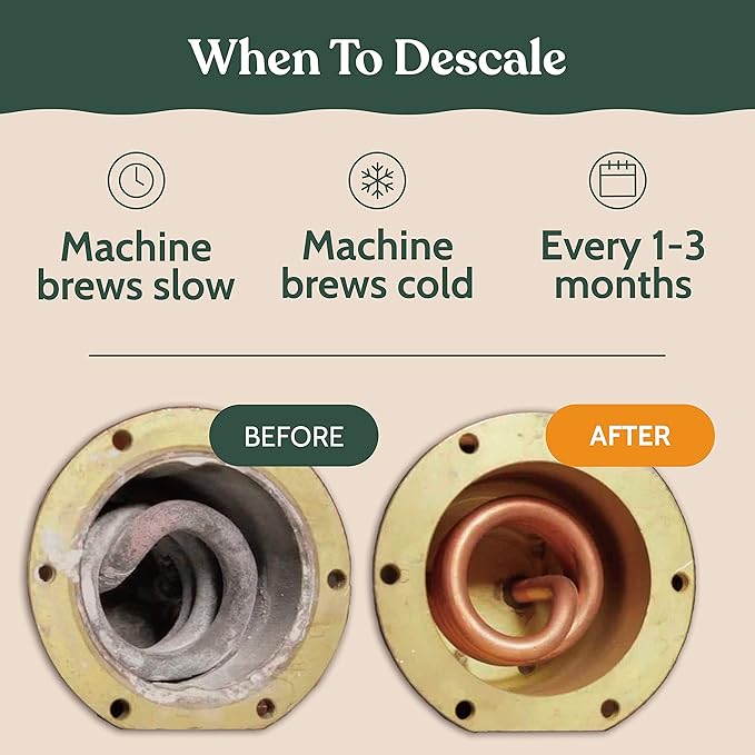 Kit de Descalcificación y Limpieza Roobi Compatible con Keurig miniatura 8