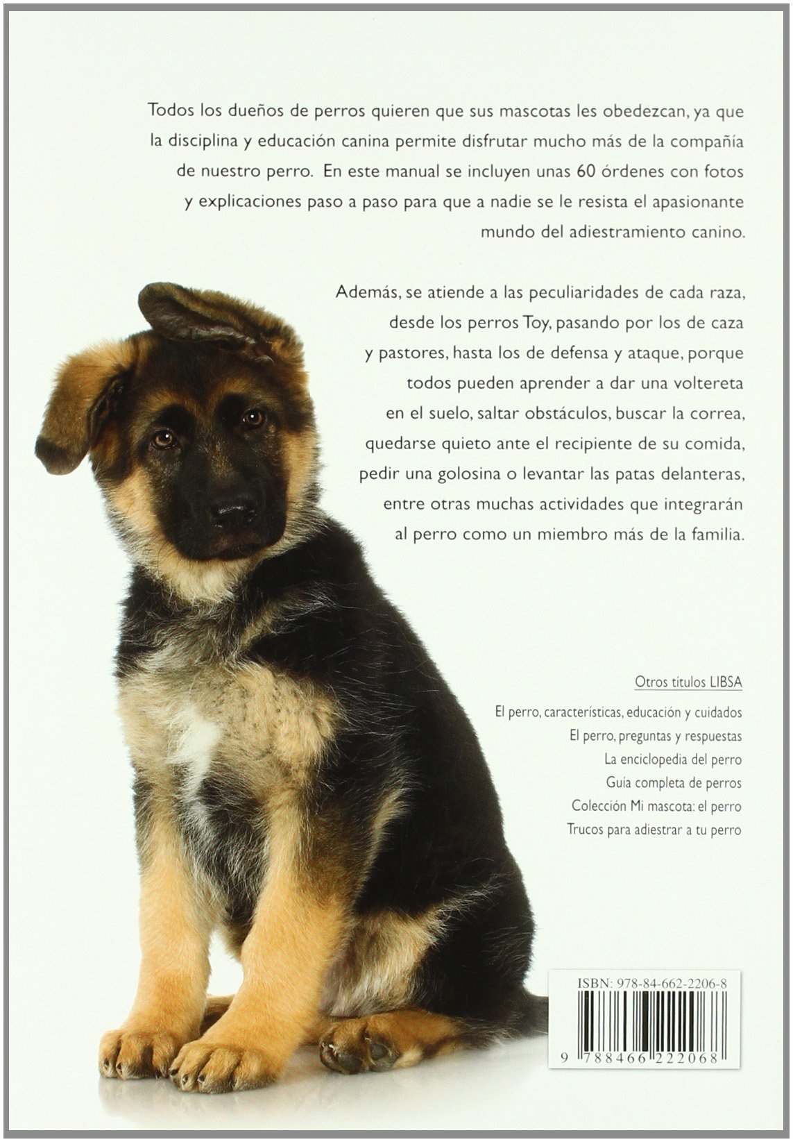 Trucos para adiestrar a tu perro / Tips for Training your Dog