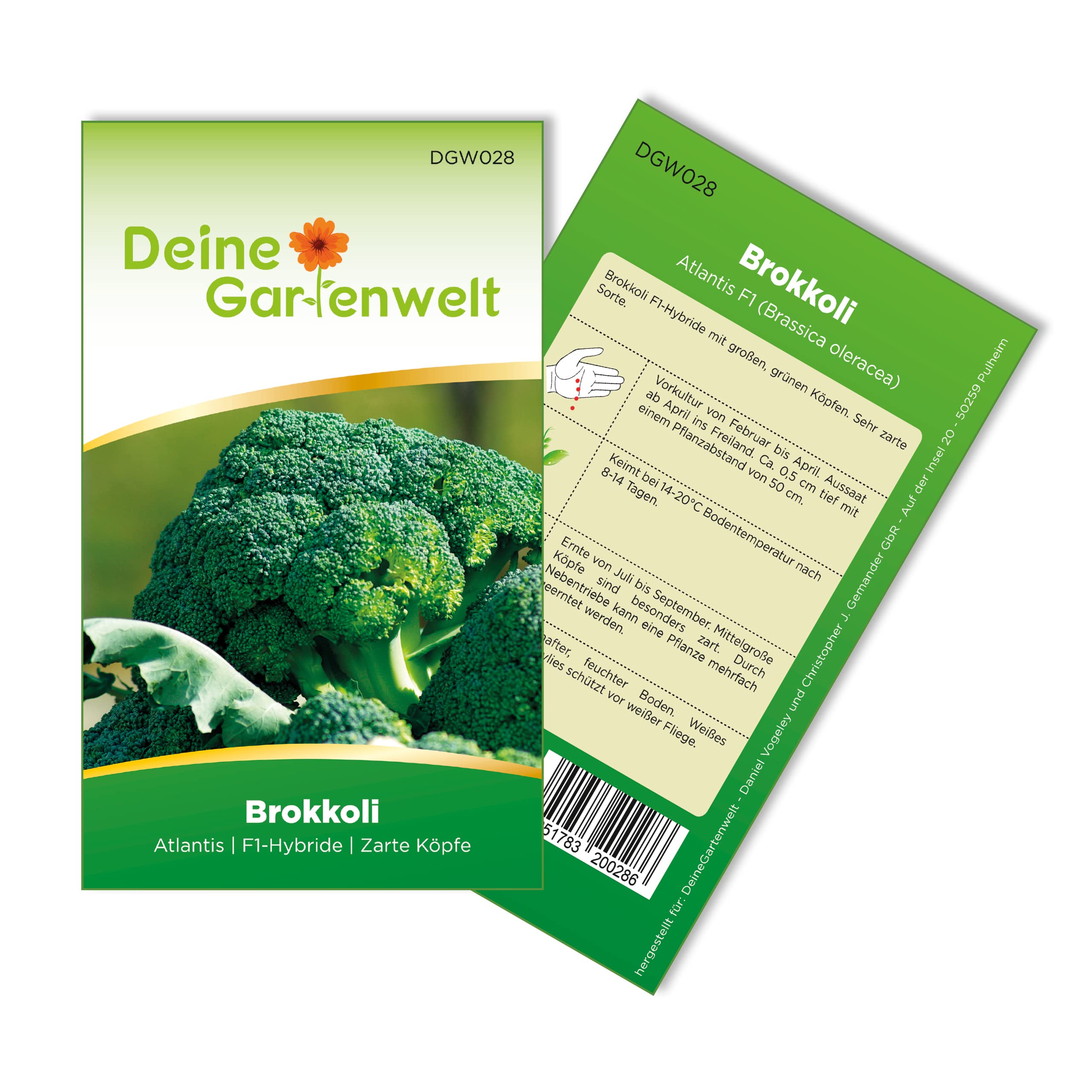 Brokkoli Ramoso Calabrese Samen – Brokkoli Samen - Brassica oleracea – Gemüsesamen Saatgut für ca. 30 Pflanzen – für Garten, Hochbeet & Gemüsebeet