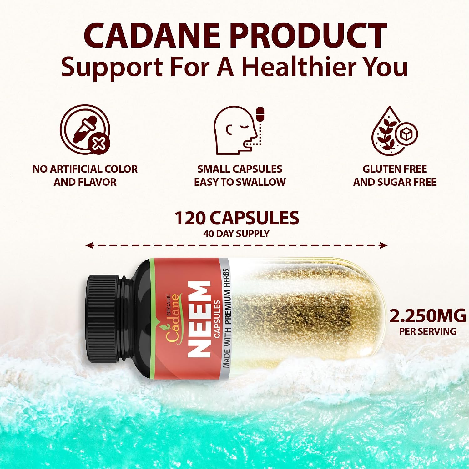 Organic Cadane Neem Leaf Supplements Capsules with Holy Basil Tulsi, Guduchi, 120 Vegetable Capsules | Supports Immune System | Fresh Powder Leaves Herbs - Image 2